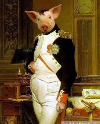 pig Napoleon