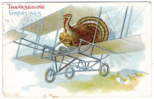 pilot turkey