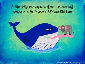 blue-whale-tongue-n-elephant