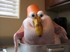 funny turkey photo