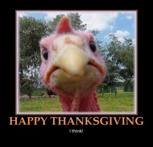 funny-happy-thanksgiving-turkey-poster