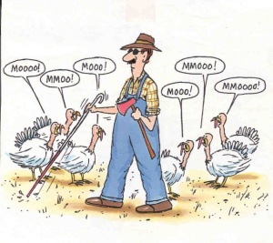 turkey-thanksgiving-jokes